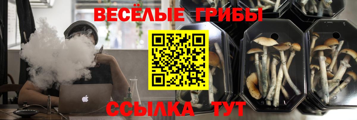 Галлюциногенные грибы ЛСД Когалым