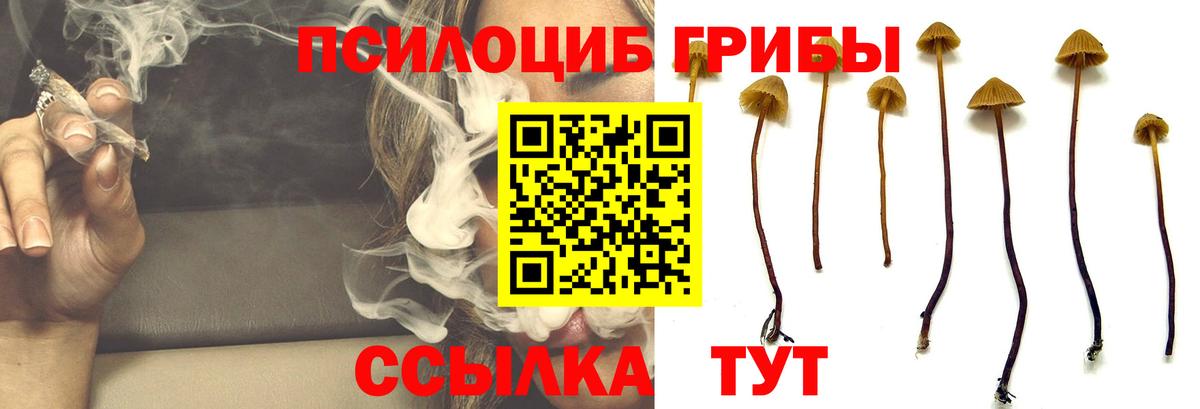 Когалым  Псилоцибиновые грибы мицелий  Вход с VPN  Галлюциногенные грибы Magic Shrooms 